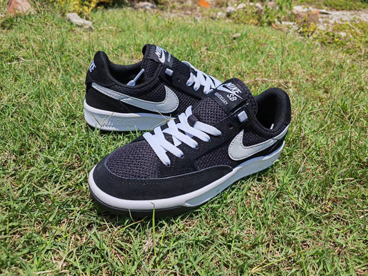 NIKE SB ADVERSARY